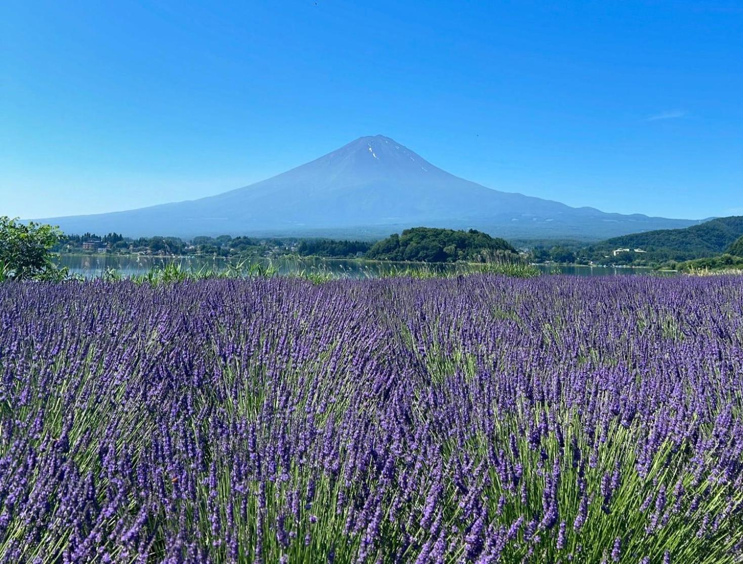 פוג'יקאוואגוצ'יקו Holiday Home Furinkazan 風林火山 מראה חיצוני תמונה